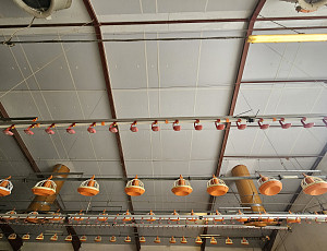 Oprava podhledu a střechy